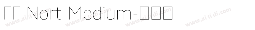 FF Nort Medium字体转换